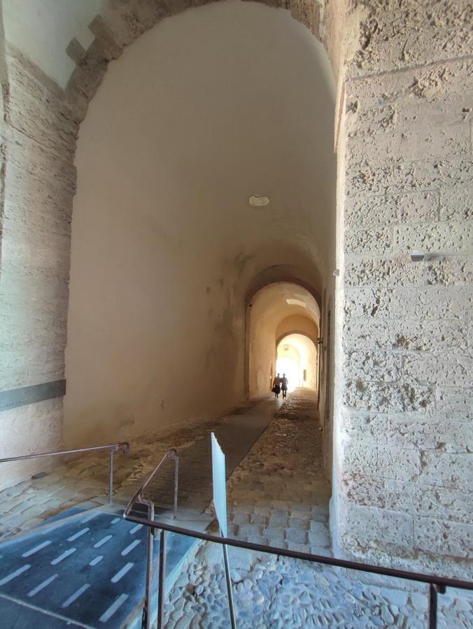 Appartamento Petit Cocon A Mourepiane Marsiglia Esterno foto