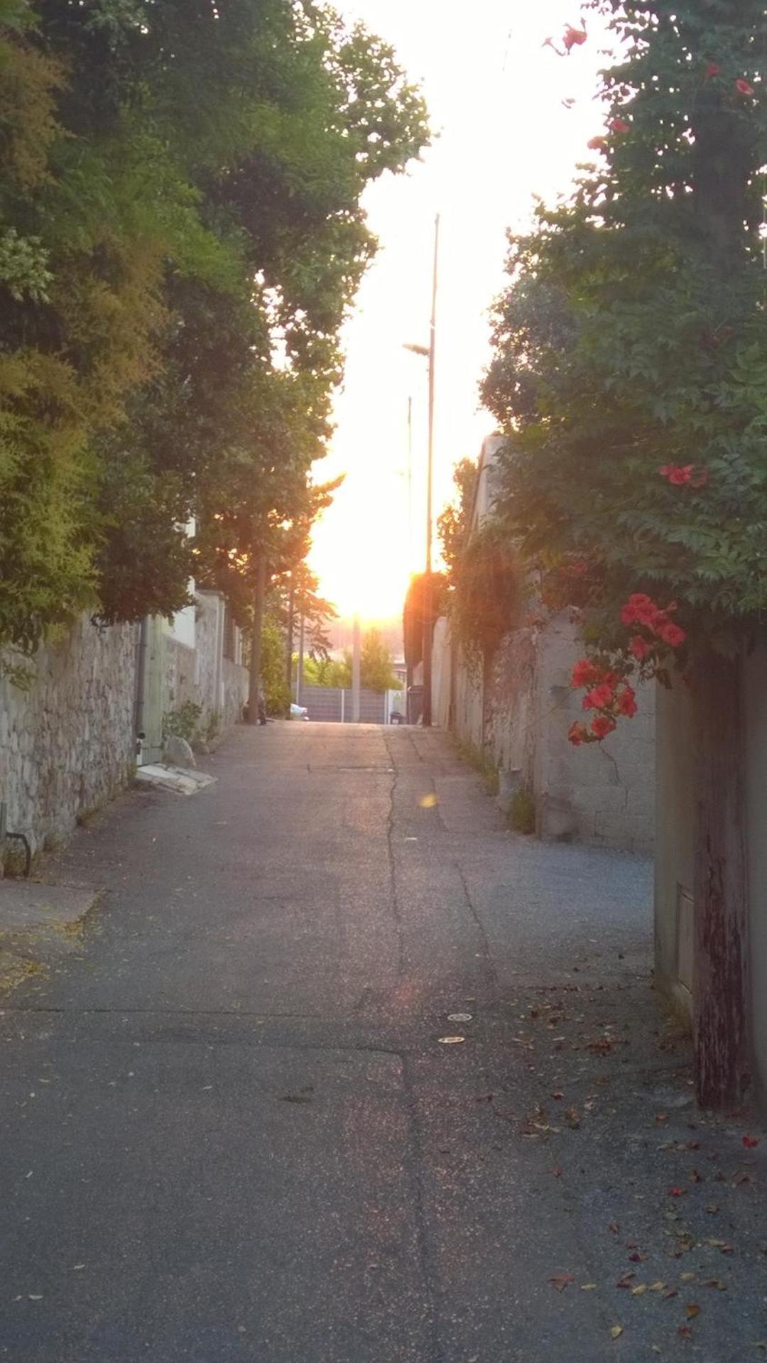 Appartamento Petit Cocon A Mourepiane Marsiglia Esterno foto